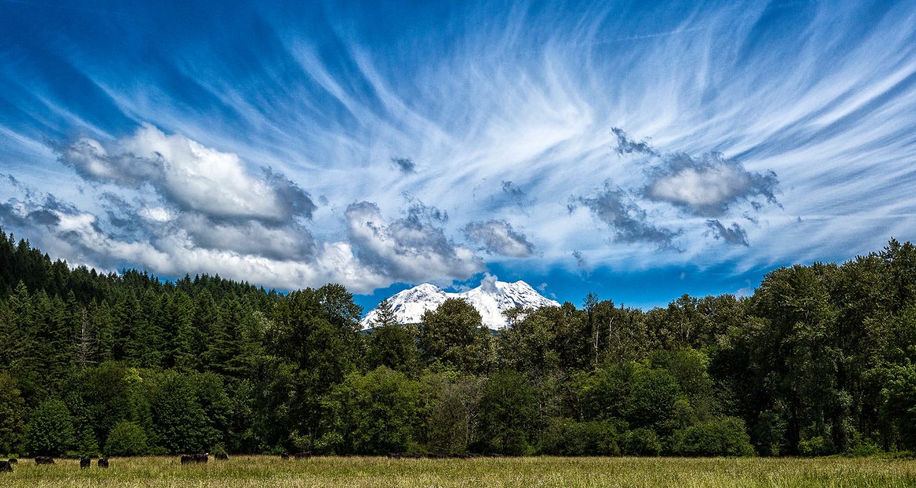 Mt. Rainier - Leave No Trace Level 2 Instructor Course